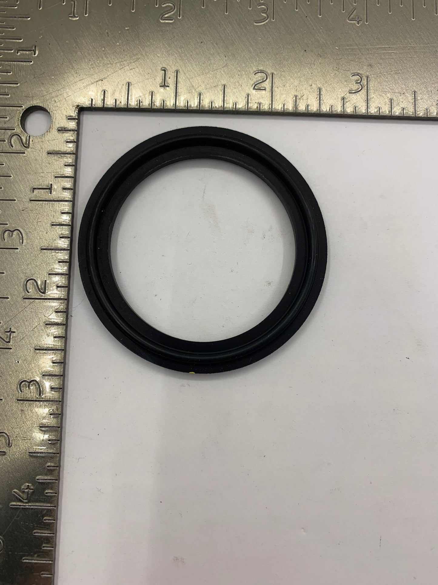 2" SANITARY GASKET - VITON