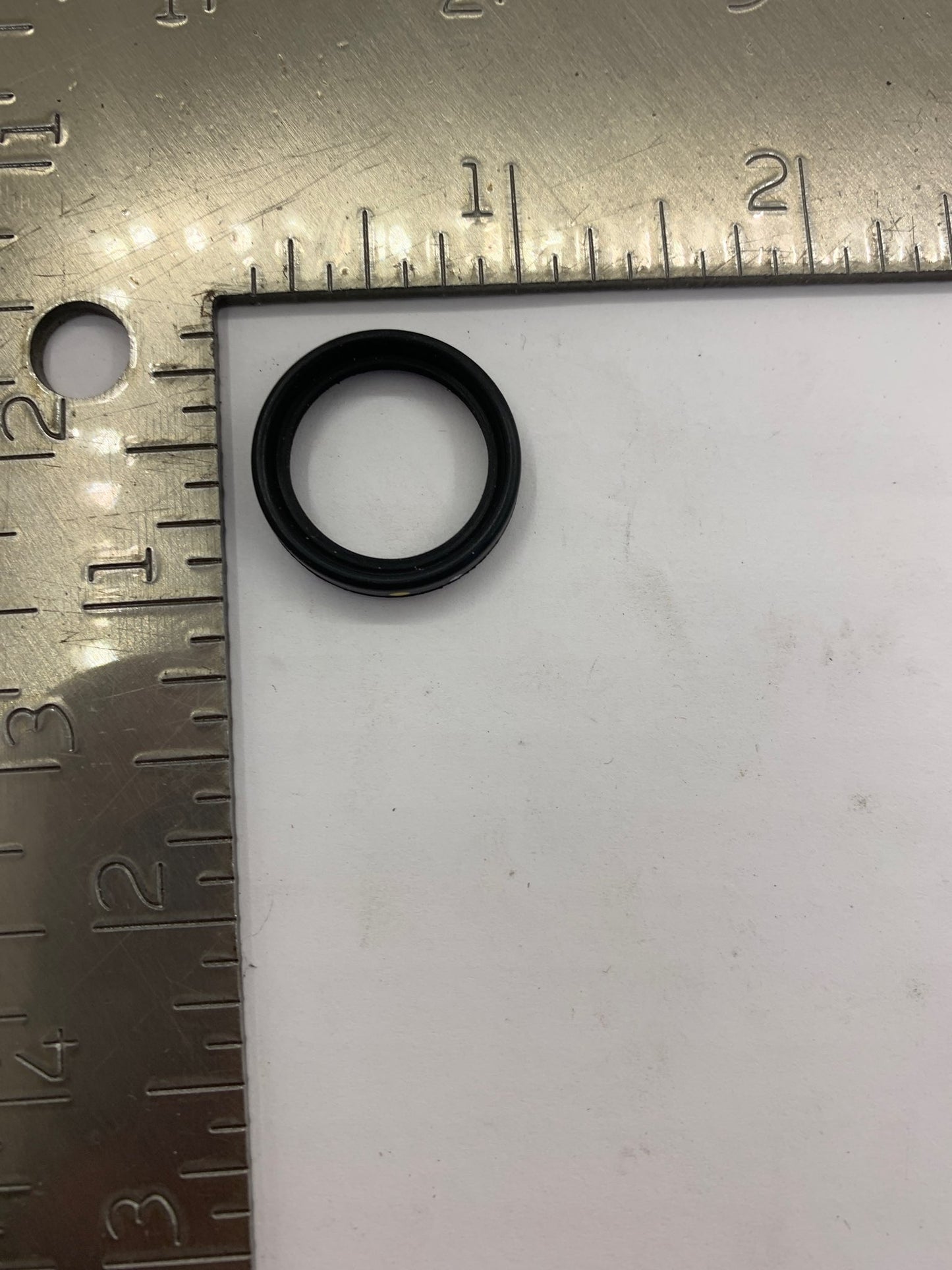 3/4" SANITARY GASKET VITON